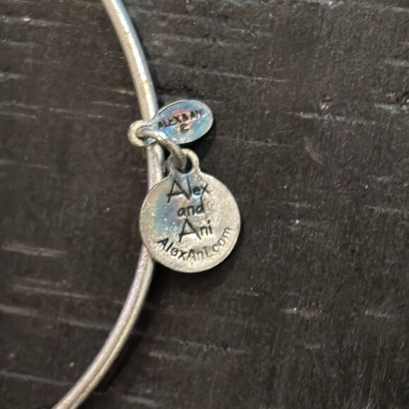 NWT Alex And Ani Yankee Stadium Baseball MLB New York Charm Bracelet Energy​​ - Picture 3 of 7